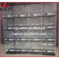 Hot sale Poultry steel wire racing pigeon breeding cage